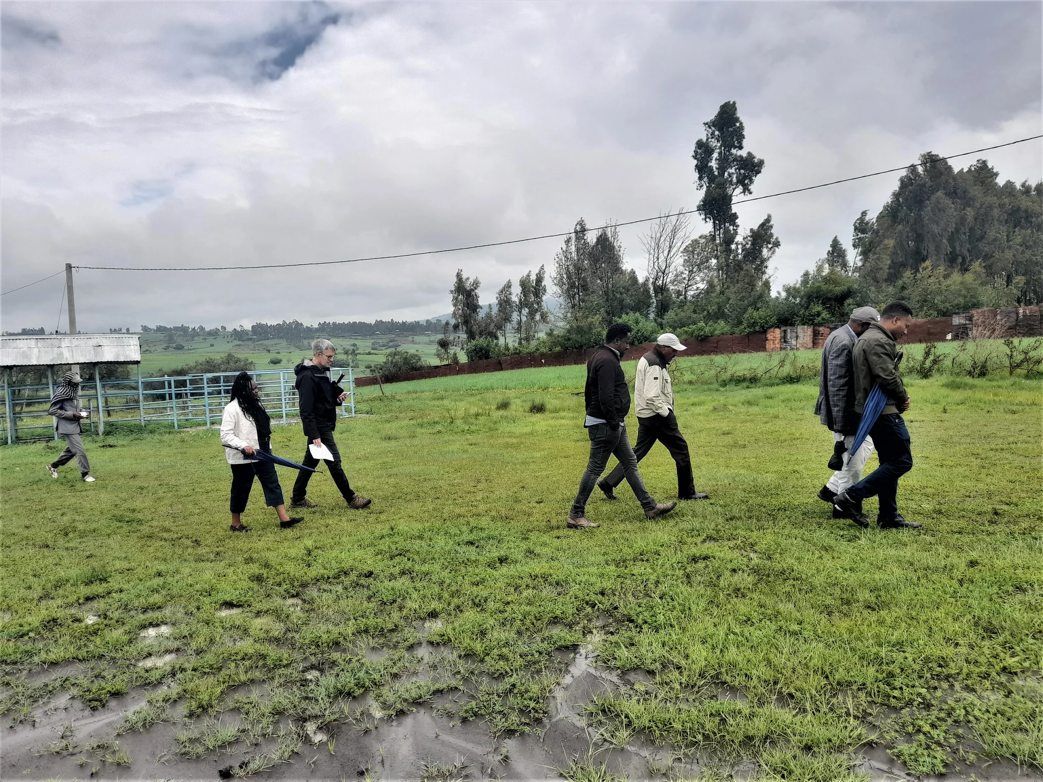 Read more about the article A team from Canadian Embassy, CDF and Ethio Wetlands & Natural Resources Association – EWNRA has visited the 4R project sites in Minjar Shenkora district.