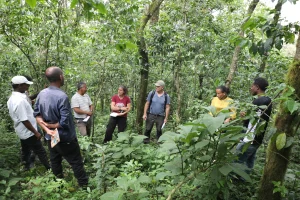 Read more about the article The technical working group for the development of the FSC Interim National Standard of forest stewardship for Ethiopia is undertaking field test activities in Southwest Ethiopia.
