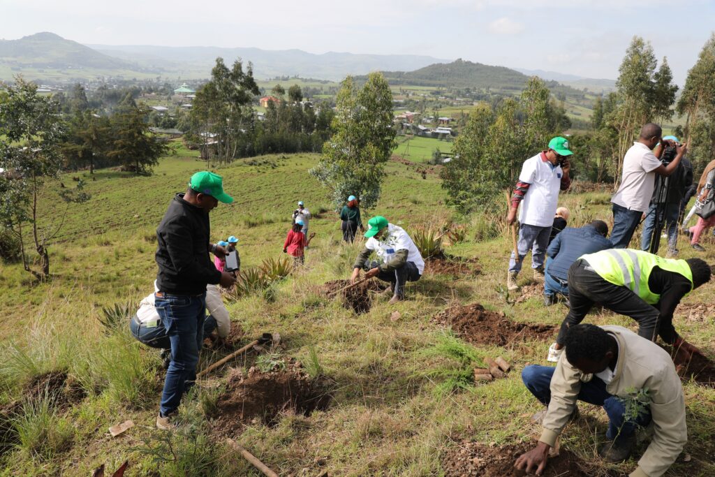 Ethio Wetlands and Natural Resources Association (EWNRA) participated in a tree planting program as part of the national green legacy movement and ecosystem restoration.
