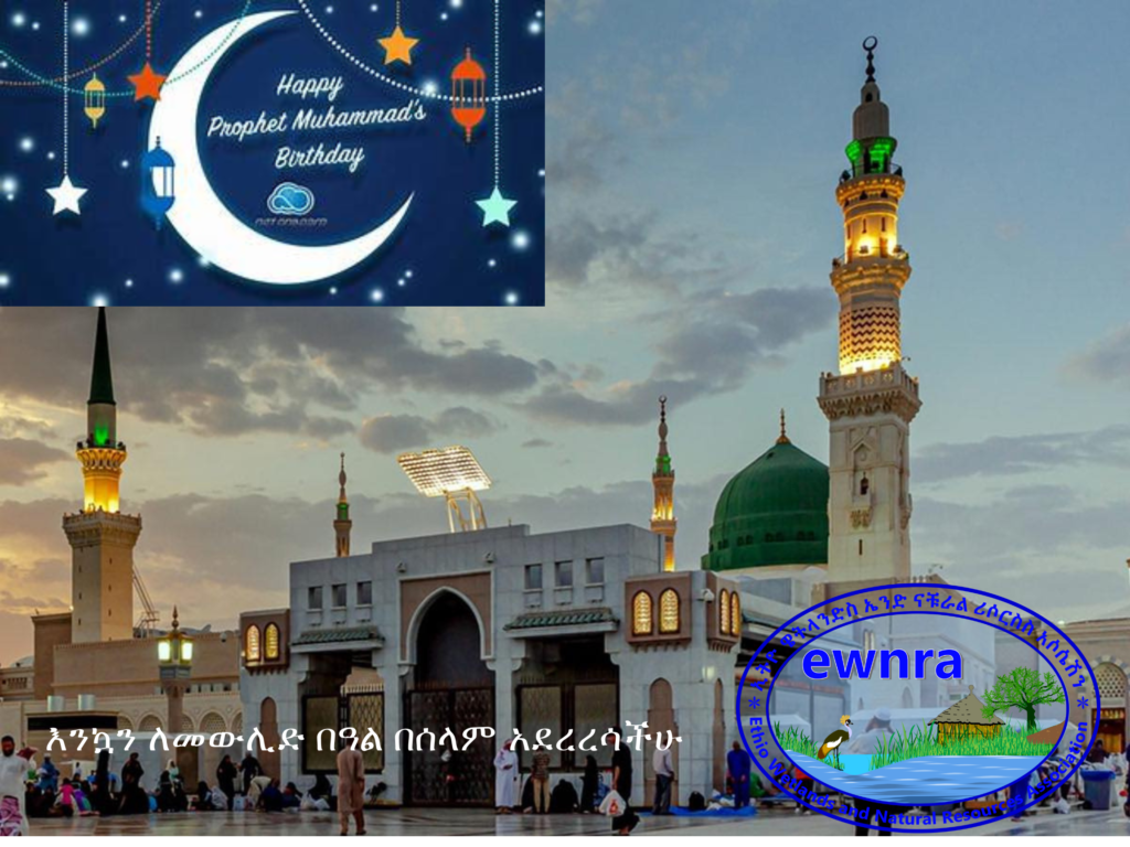 Ethio Wetlands and Natural Resources association (EWNRA) wishes all Muslims a happy holiday of Mawlid!ኢትዮ ዌትላንድስ ኤንድ ናቹራል ሪሶርስ አሶሴሽን ለመላው የእስልምና እምነት ተከታዮች በሙሉ መልካም የመውሊድ በዓል እንዲሆንላችሁ ይመኛል፡፡