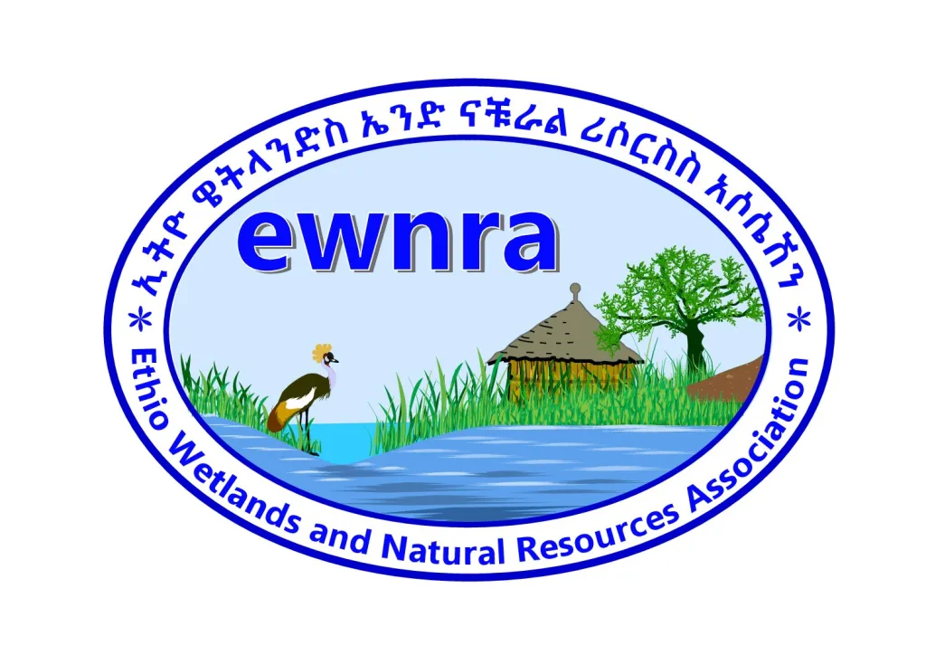 የንብ ቀፎ ሥራ ጨረታ ማስታወቂያ