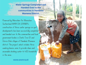 Three Water Springs Completed and Handed Over to the communities in Hambela Wamena District.