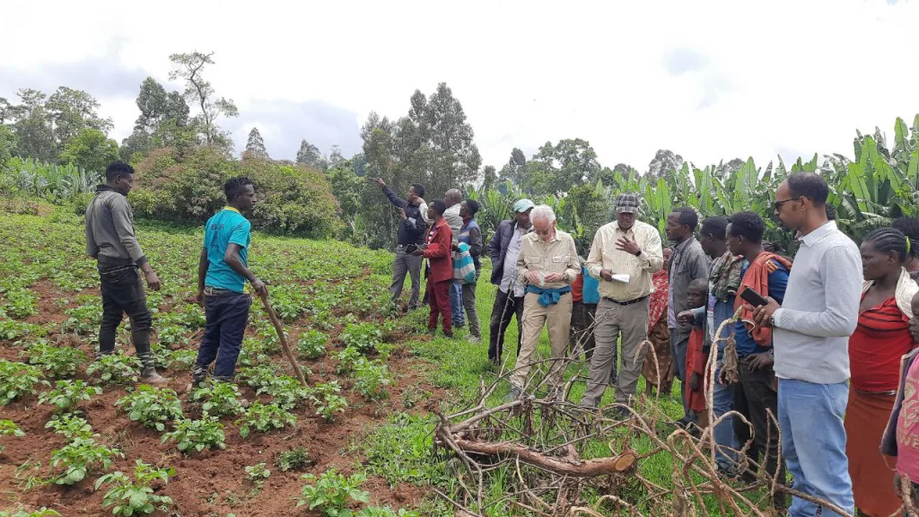 Day 2, Monitoring Visit