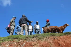 Field Visit Day Three: Monitoring Progress and Inaugurating Key Projects in Hambela Wamena Woreda