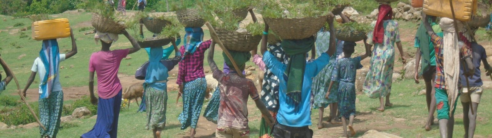 familial communities on thier way to chikusa (2)